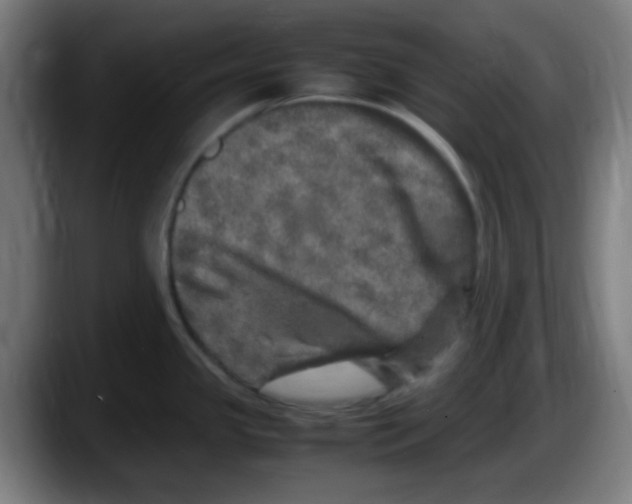 X0000087621341200705251955