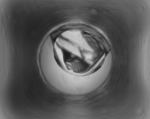 X0000087621342200705251955