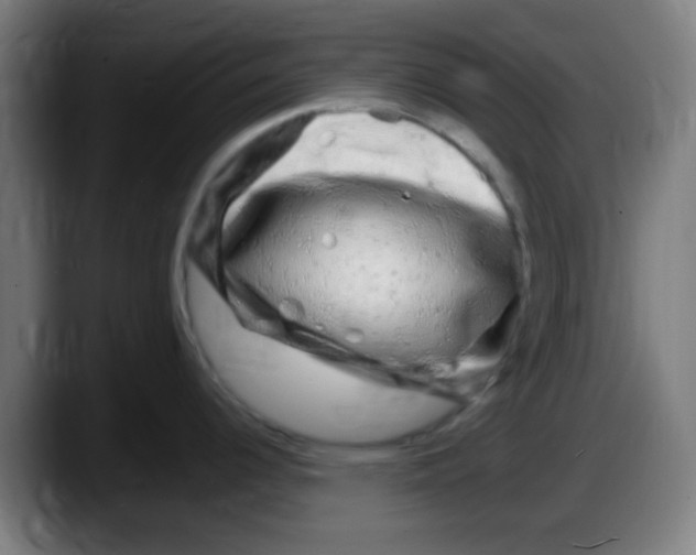 X0000087621344200705251955