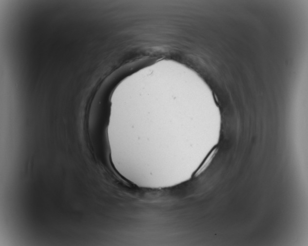 X0000087621345200705251954