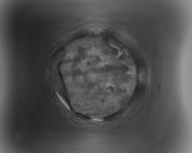 X0000087621347200705251954