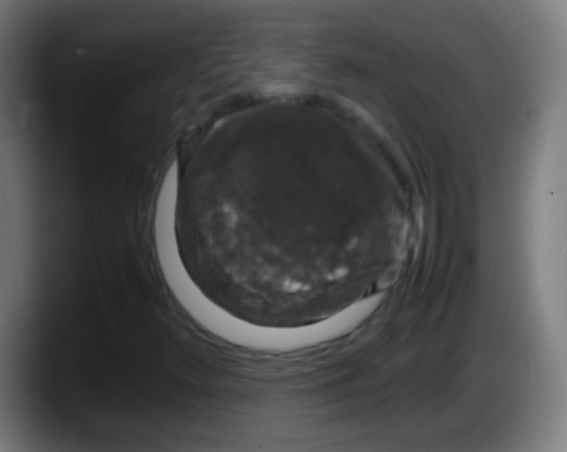 X0000087621348200705251954