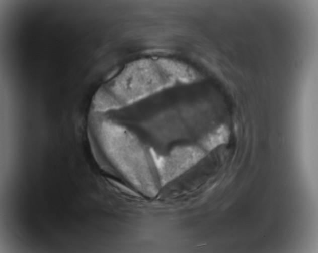 X0000087621351200705251954