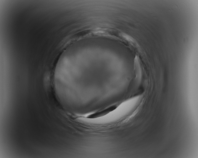 X0000087621353200705251954