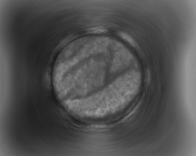 X0000087621354200705251954