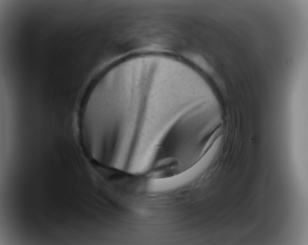 X0000087621356200705251954