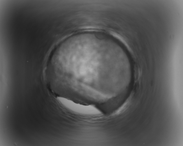 X0000087621357200705251954