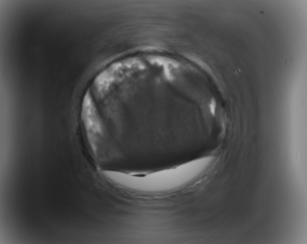 X0000087621359200705251954