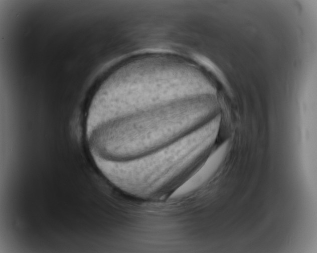 X0000087621360200705251954