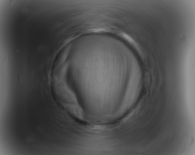 X0000087621361200705251954