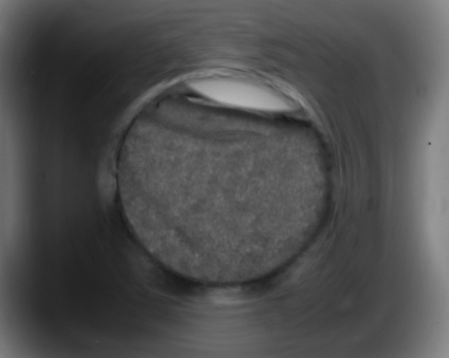 X0000087621363200705251954