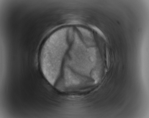 X0000087621364200705251954