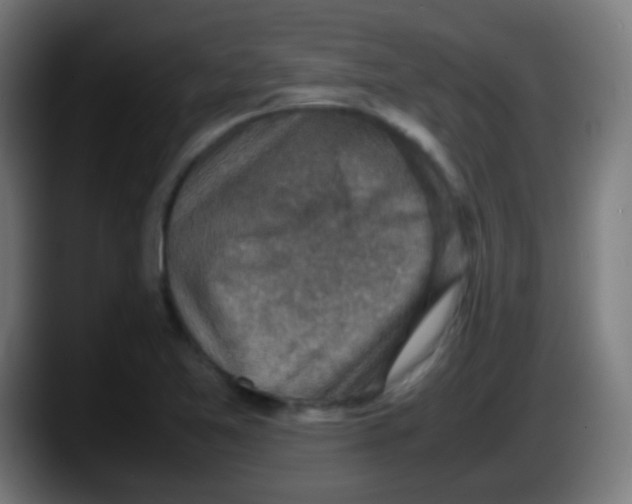 X0000087621365200705251954