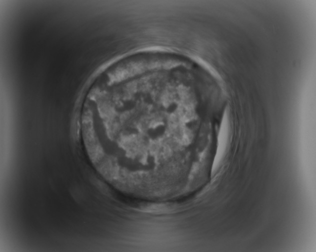 X0000087621367200705251954