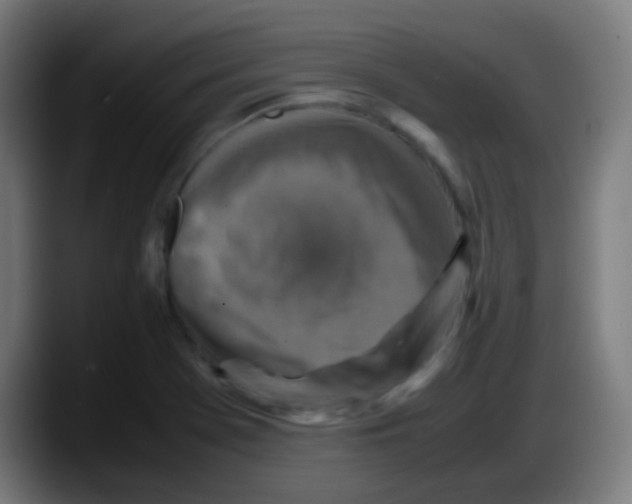 X0000087621369200705251954