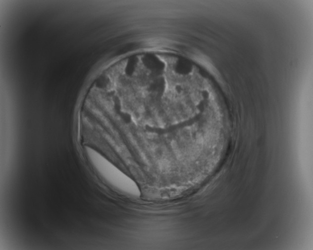 X0000087621371200705251954