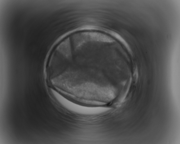 X0000087621372200705251954