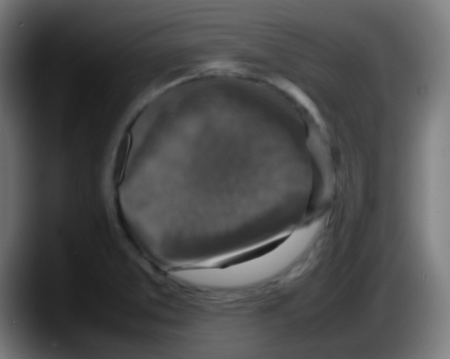 X0000087621373200705251954