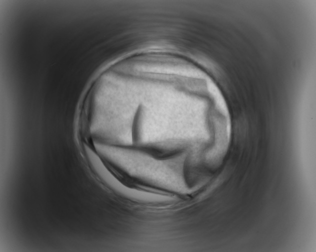 X0000087621374200705251954