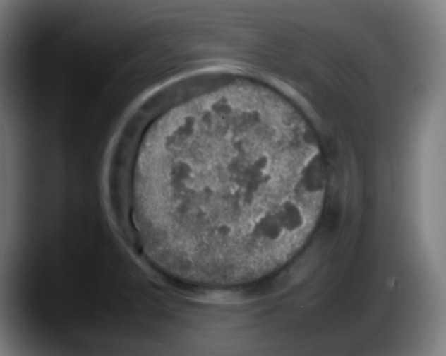 X0000087621375200705251954