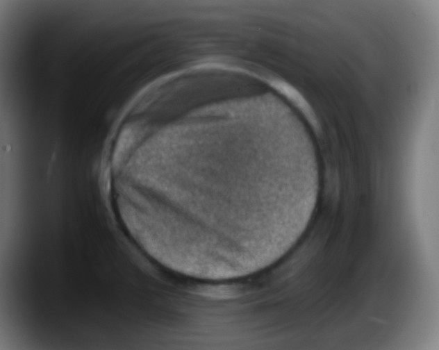 X0000087621376200705251954