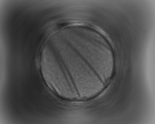 X0000087621377200705251954