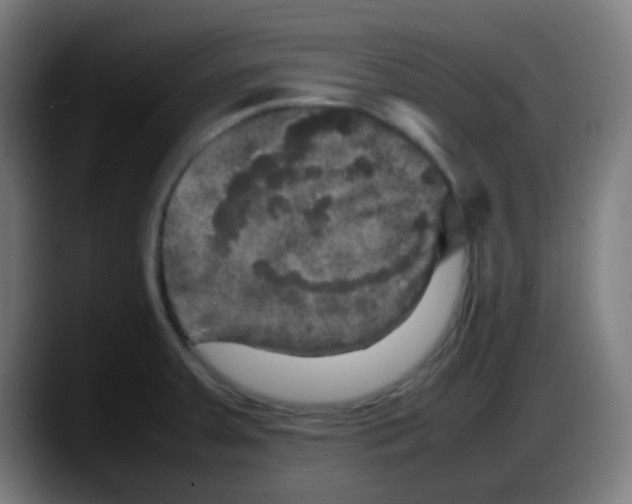 X0000087621379200705251954