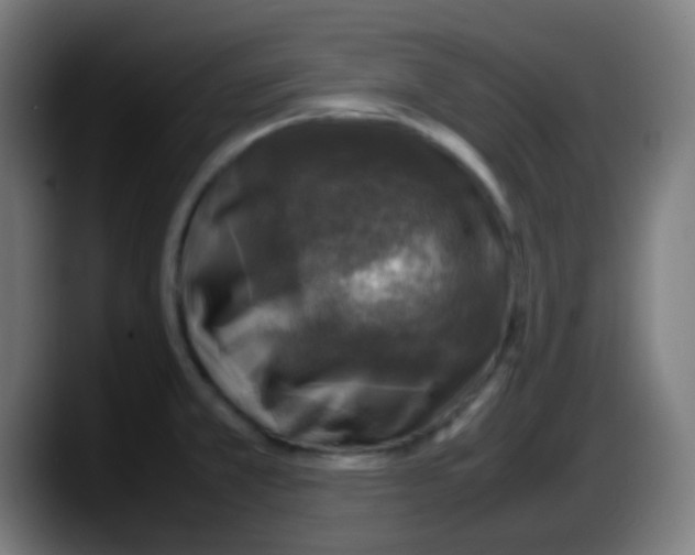 X0000087621381200705251954