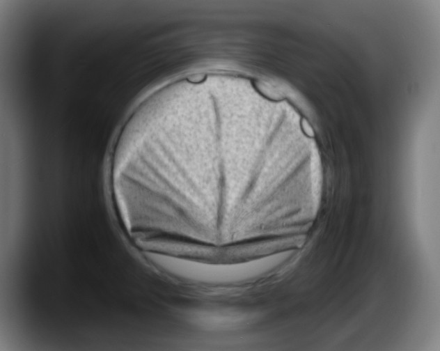 X0000087621382200705251954