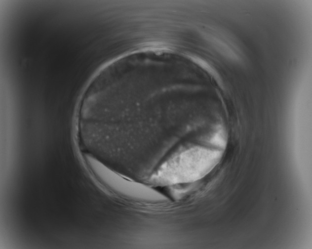 X0000087621383200705251954