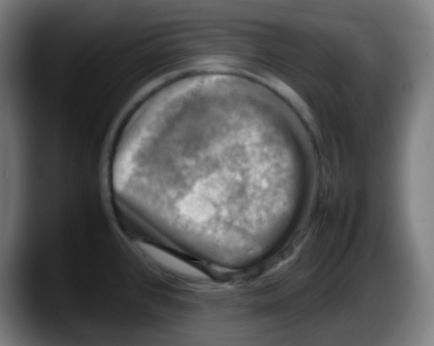 X0000087621384200705251954