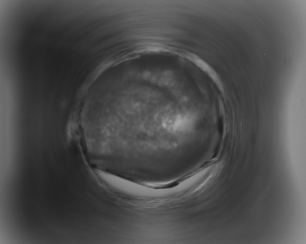 X0000087621385200705251954