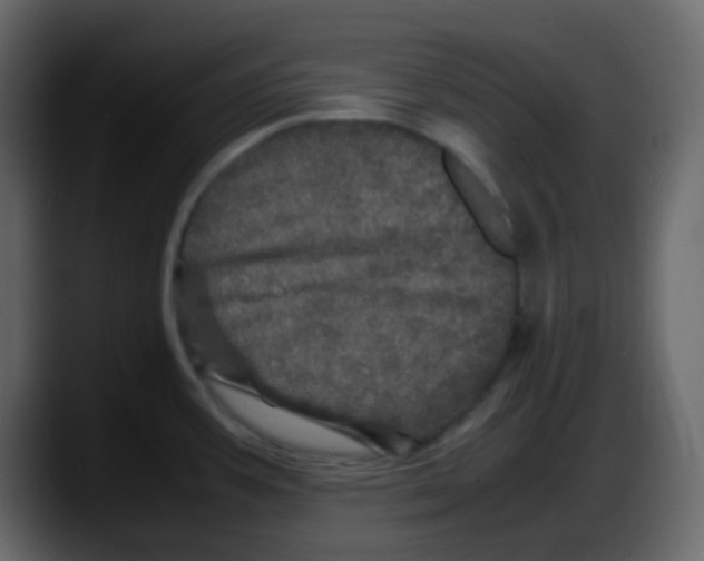 X0000087621387200705251954