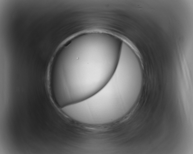 X0000087621388200705251954