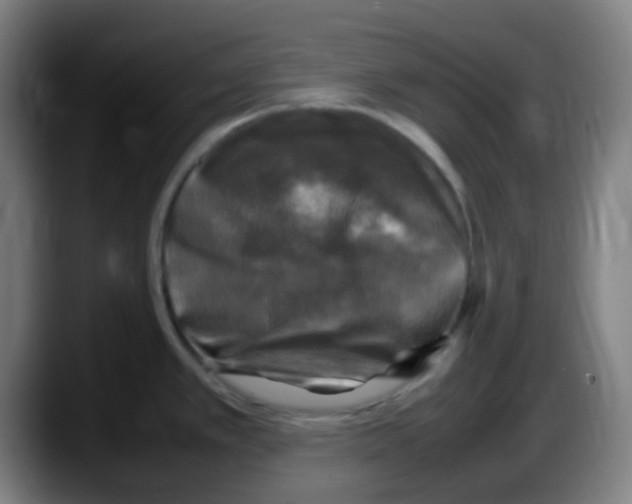 X0000087621389200705251954