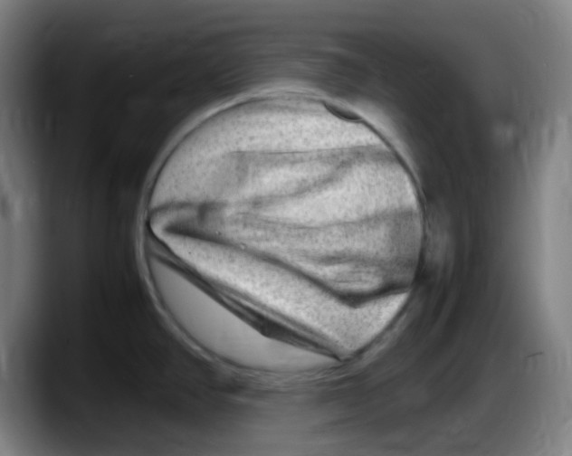 X0000087621390200705251954