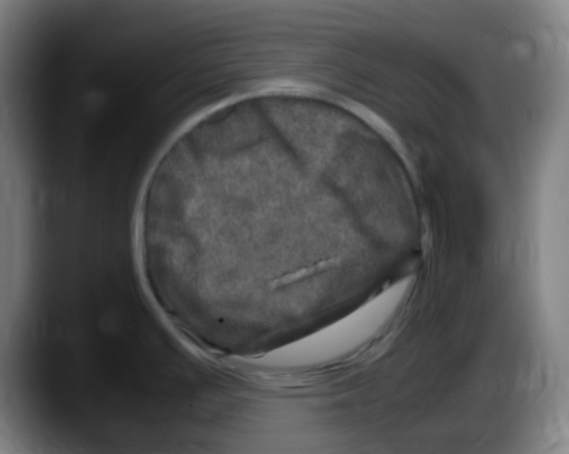 X0000087621391200705251954