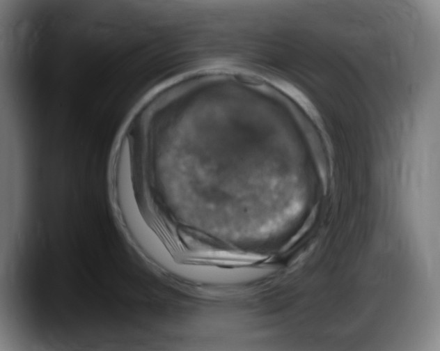 X0000087621392200705251954