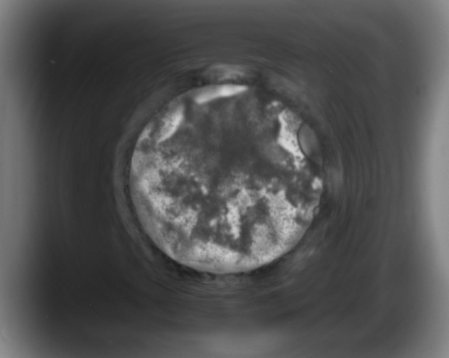 X0000087621393200705251953