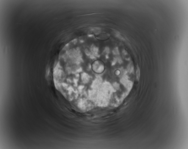 X0000087621395200705251953