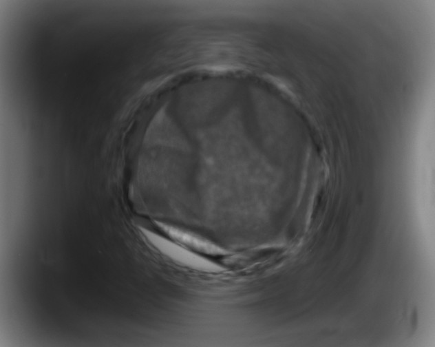 X0000087621398200705251953