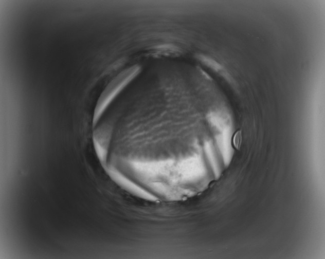 X0000087621399200705251953