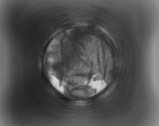 X0000087621401200705251953