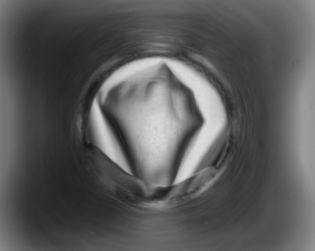 X0000087621402200705251953