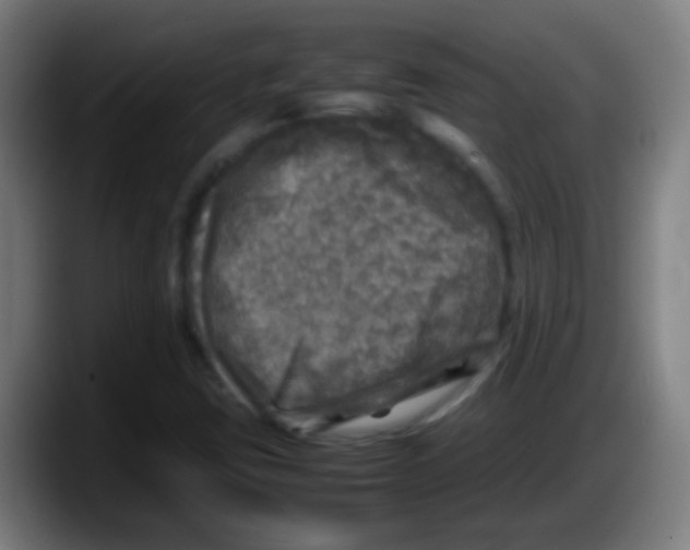 X0000087621403200705251953