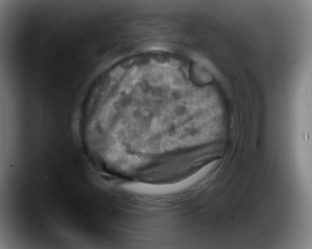 X0000087621404200705251953