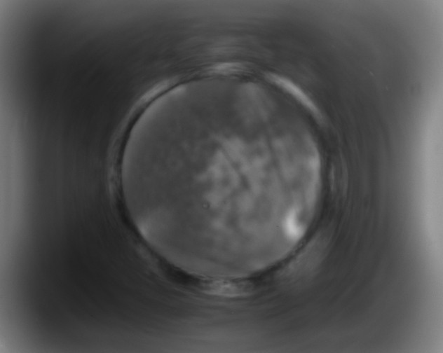 X0000087621405200705251953