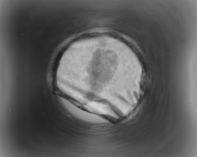 X0000087621406200705251953