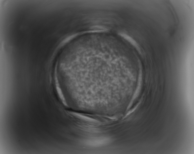 X0000087621407200705251953