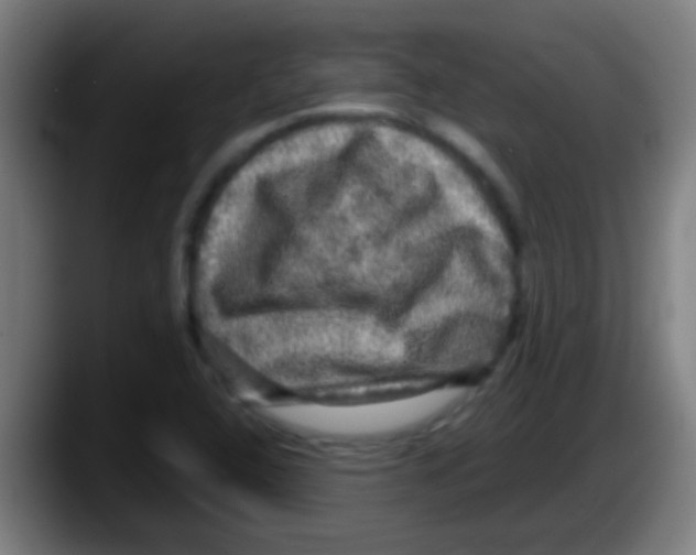 X0000087621408200705251953